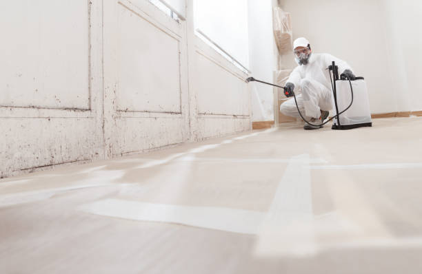 24/7 Emergency Black Mold Remediation experts in Dysart, PA